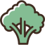 Broccoli icon 64x64