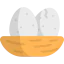 Nest Symbol 64x64