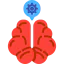 Brain Ikona 64x64