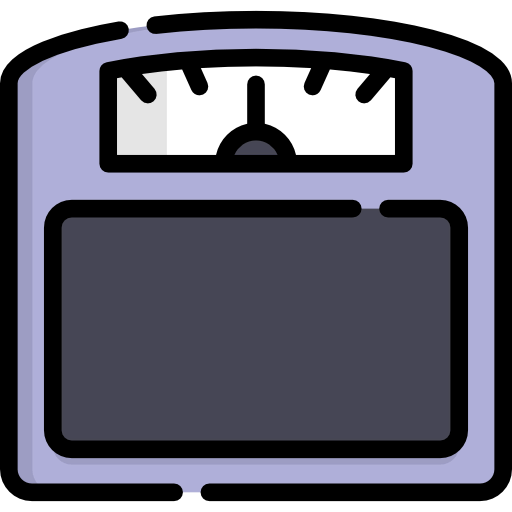 Scale icon