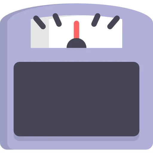 Scale icon