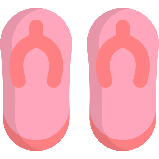 Flip flops icon