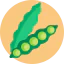 Peas icon 64x64