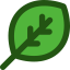 Leaf icon 64x64