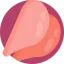 Chicken icon 64x64