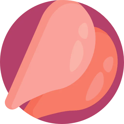 Chicken icon