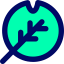Leaf icon 64x64