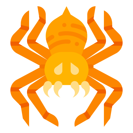 Spider icon