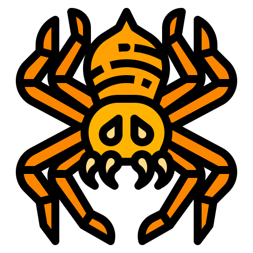 Spider icon