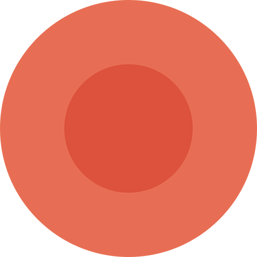 Record icon