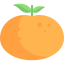 Orange 상 64x64