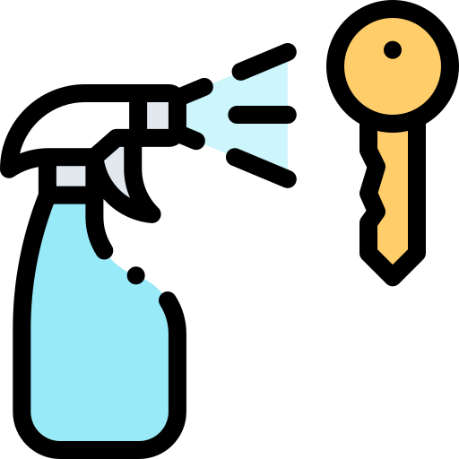 Key icon