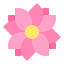 Flower icon 64x64