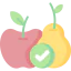 Fruit icon 64x64