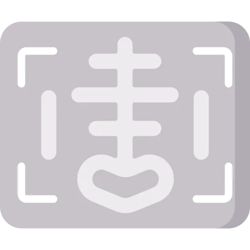 X ray icon