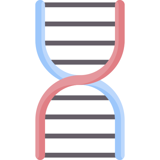 Dna structure icon