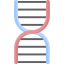 Dna structure icon 64x64