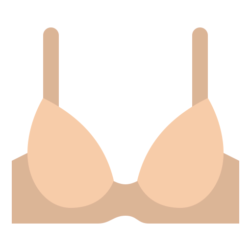 Bra icon