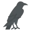 Raven icon 64x64