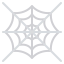Spider web icon 64x64