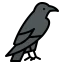 Raven icon 64x64