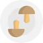 Mushrooms icon 64x64