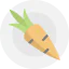 Carrot icon 64x64