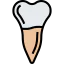 Premolar Symbol 64x64