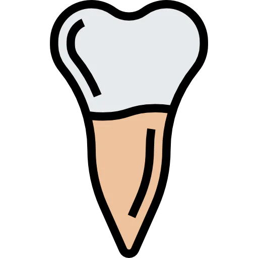 Premolar icon