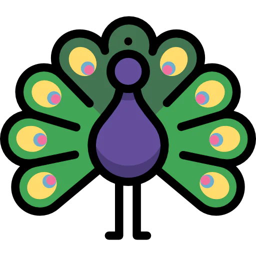 Turkey icon