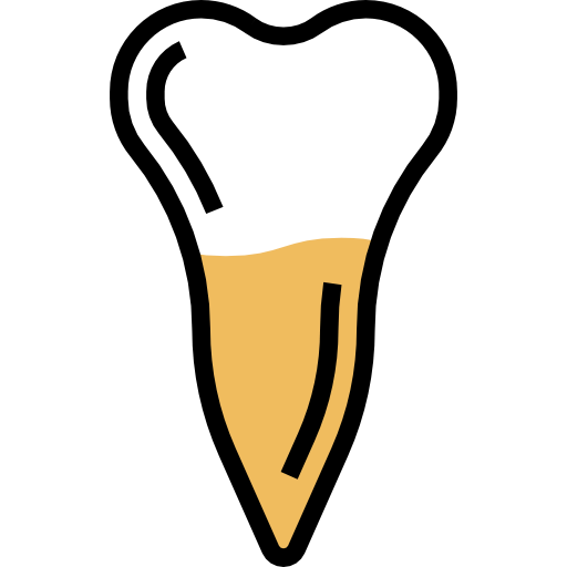 Premolar icon