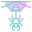 Spider Ikona 64x64