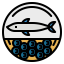 Caviar icon 64x64