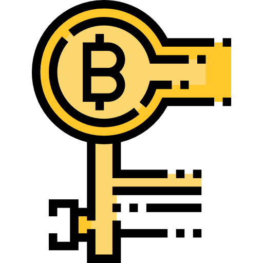 Private key icon