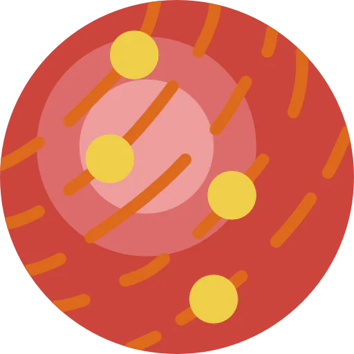 Venus icon