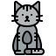 Cat icon 64x64