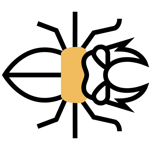 Beetle icon