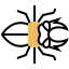 Beetle icon 64x64