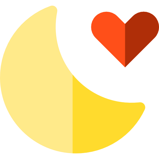 Night icon