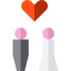 Newlyweds icon 64x64