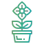 Flower icon 64x64
