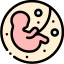 Fetus icon 64x64