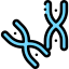 Chromosome icon 64x64