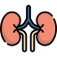 Kidneys Symbol 64x64