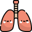 Lungs icon 64x64