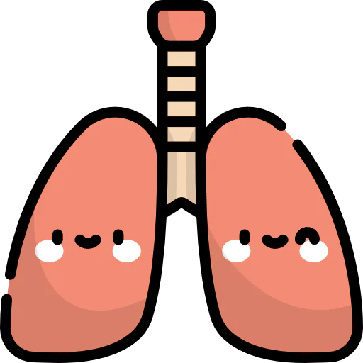 Lungs icon