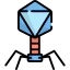 Virus icon 64x64