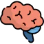 Brain icon 64x64