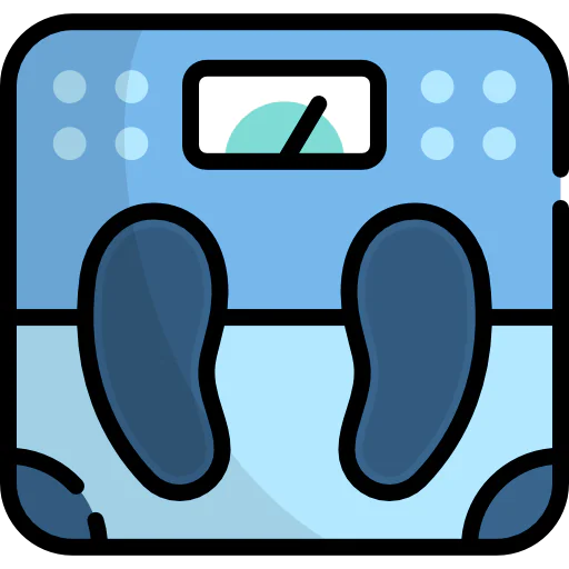 Scale icon