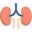 Kidneys Symbol 64x64